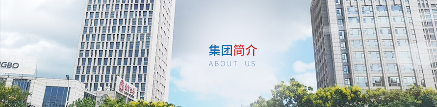 公司簡介(圖1)